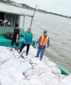 An Giang: Tạm giữ phương tiện vận chuyển 20 tấn đường cát không rõ nguồn gốc