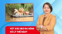 Video: Vứt xác heo ra sông: Ai phải chịu trách nhiệm trước pháp luật?