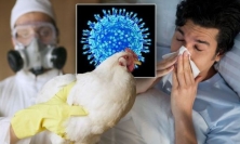 Cúm A/H5N1 nguy hiểm thế nào mà nhiều bệnh nhân tử vong?