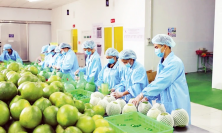 Doanh nghiệp Việt cần chủ động thích ứng, tăng xuất khẩu hàng hóa sang thị trường Hoa Kỳ