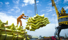 Cắt giảm thuế nhập khẩu, tín hiệu vui cho xuất khẩu gạo Việt