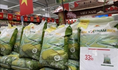 Thương hiệu gạo Việt Nam ngày càng đáp ứng được từ các thị trường khó tính