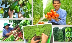 Nhiều “điểm nghẽn” khiến nông sản xuất khẩu vùng Tây Nguyên khó ra thị trường thế giới?