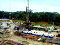 1/4 số dự án đầu tư ra nước ngoài báo lỗ 1/4 số dự án đầu tư ra nước ngoài báo lỗ