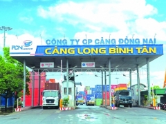 Cảng Đồng Nai lãi gần 55 tỷ đồng trong 6 tháng, hoàn thành 67% kế hoạch năm 2018 Cảng Đồng Nai lãi gần 55 tỷ đồng trong 6 tháng, hoàn thành 67% kế hoạch năm 2018