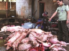 Nghị định mới của Chính phủ về xử phạt vi phạm an toàn thực phẩm Nghị định mới của Chính phủ về xử phạt vi phạm an toàn thực phẩm