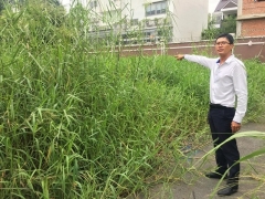Q.Thủ Đức (TP.HCM): Có đất vẫn không thể cất nhà, hàng chục khách hàng cầu cứu chính quyền? Q.Thủ Đức (TP.HCM): Có đất vẫn không thể cất nhà, hàng chục khách hàng cầu cứu chính quyền?