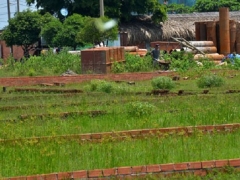 Ngăn ngừa sốt ảo, TP.HCM công khai quy hoạch Ngăn ngừa sốt ảo, TP.HCM công khai quy hoạch