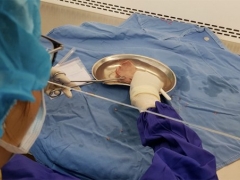 Việt Nam chính thức có Ngân hàng mô, bảo quản từ xương sọ tới van tim Việt Nam chính thức có Ngân hàng mô, bảo quản từ xương sọ tới van tim