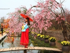 Hà Nội: Hỗ trợ 12 làng nghề xây dựng thương hiệu Hà Nội: Hỗ trợ 12 làng nghề xây dựng thương hiệu
