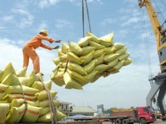 Hàn Quốc chính thức áp thuế 513% gạo nhập khẩu vượt hạn ngạch