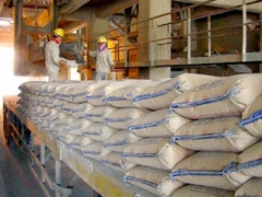 Ximăng Việt Nam hướng đến thị trường tiêu thụ nội địa