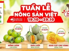 Đẩy mạnh tiêu thụ nông sản Việt trực tuyến - Phục hồi kinh tế sau mùa dịch