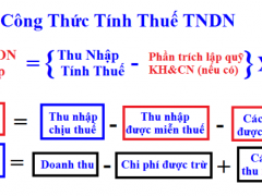 1.000 doanh nghiệp nộp thuế thu nhập doanh nghiệp chiếm 62,4 tổng thu ngân sách Nhà nước