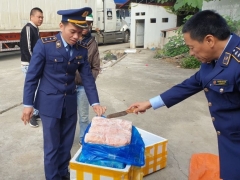 Liên tiếp phát hiện hàng trăm kg nầm lợn không có nguồn gốc xuất xứ tại Lạng Sơn