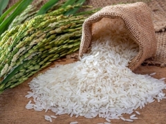 Việt Nam lần đầu chạm ngưỡng quốc gia xuất khẩu gạo lớn nhất vào thị trường Singapore