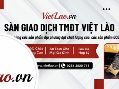 Bình Định và các tỉnh Nam Lào triển lãm trực tuyến các sản phẩm đặc trưng
