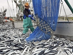 Theo Kyodo, Trung Quốc thu hẹp cửa với thủy sản Nhật Bản