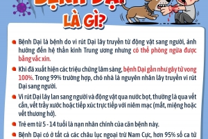 Những thông tin cha mẹ cần biết về bệnh dại để bảo vệ con