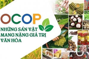 OCOP Việt Nam: Vượt xa thương hiệu cho nông thôn Việt