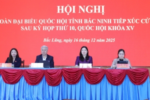 Đoàn đại biểu Quốc hội tỉnh Bắc Ninh tiếp xúc cử tri xã Bắc Lũng
