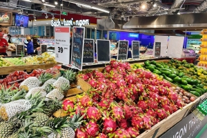 Thị trường ngày mùng 1 Tết Bính Ngọ 2026: Giao dịch ổn định, nguồn cung dồi dào