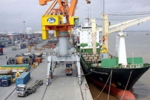 Cảng Đồng Nai chuẩn bị tạm ứng cổ tức năm 2025 bằng tiền với tỷ lệ 20%