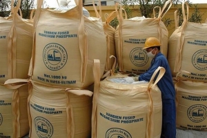 Phân lân Văn Điển bị truy thu gần 2,8 tỷ đồng thuế, phải điều chỉnh BCTC 2024