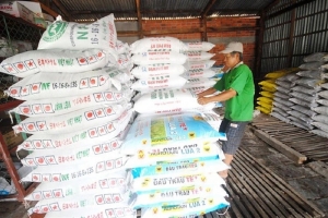 Doanh nghiệp phân bón đề xuất tháo gỡ áp lực chi phí trong bối cảnh xung đột Trung Đông