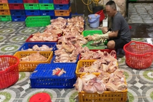 TP.HCM: Phát hiện cơ sở giết mổ gà trái phép, xử lý gần 1 tấn gà
