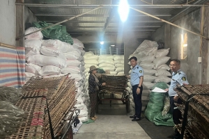Hưng Yên: Phát hiện hàng chục tấn nguyên liệu miến dong có dấu hiệu là hàng giả