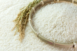 Giá lúa gạo hôm nay 8/6: Thị trường đi ngang