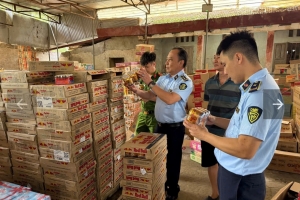 Thái Nguyên: Kiểm tra 360 vụ, xử lý 270 vụ vi phạm thương mại