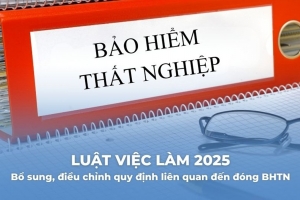 Xác định căn cứ tính mức lương đóng bảo hiểm thất nghiệp cho chức danh giám đốc