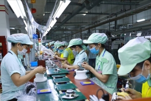 Thị trường lao động dịch chuyển mạnh sang xu hướng học nghề và nâng cao kỹ năng để tìm cơ hội việc làm mới