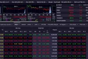 Chứng khoán ngày 6/8: VN-Index trước ngưỡng 1.800 điểm, nhà đầu tư nên làm gì?