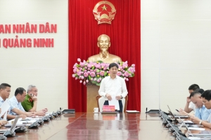 Quảng Ninh: Kịp thời nắm bắt, tháo gỡ khó khăn hoàn thành xây dựng cơ sở dữ liệu đất đai theo đúng kế hoạch