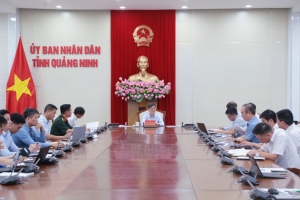 Quảng Ninh: Triển khai các chỉ đạo của Trung ương về phát triển nhà ở cho thuê