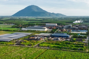 Thành Thành Công – Biên Hòa bị xử phạt 175 triệu đồng do công bố sai lệch việc sử dụng vốn trái phiếu
