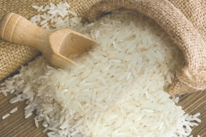 Giá lúa gạo hôm nay 20/7: Gạo xuất khẩu giữ giá