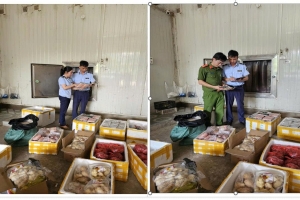 Thanh Hóa: Thu giữ lượng lớn thực phẩm có dấu hiệu nhập lậu tại Khu Công nghiệp Đông Lĩnh