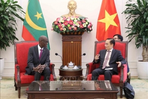 Việt Nam luôn trân trọng quan hệ hữu nghị, truyền thống với các quốc gia châu Phi