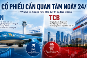 Cổ phiếu ngày 24/7: HVN chờ lực đẩy mới, TCB ghi dấu ấn với tăng trưởng tín dụng