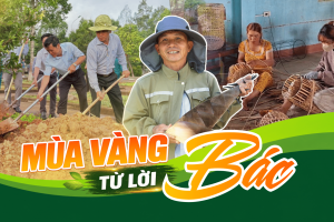 Mái nhà nào cũng có Bác - Kỳ 3: Từ bức ảnh Bác đến những mùa vàng trên vùng đất mới