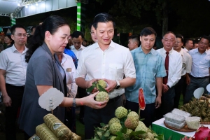Hơn 3.300 tấn na từ vùng trồng lớn nhất Thái Nguyên bước vào mùa tiêu thụ