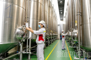 Chương trình OCOP góp phần xây dựng nền kinh tế nông thôn bền vững tại Phú Thọ