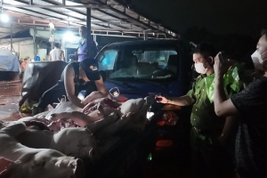 Quảng Ninh: Chấm dứt cơ sở giết mổ động vật nhỏ lẻ, không bảo đảm trước ngày 31/10