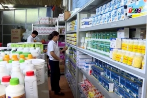 Ninh Bình tăng cường quản lý sản xuất, kinh doanh và sử dụng thuốc thú y