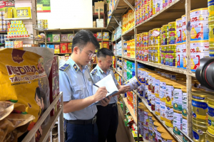 Thanh Hóa: Phạt hơn 20 triệu đồng cơ sở kinh doanh hàng trăm sản phẩm ăn vặt trôi nổi