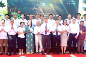 Đà Nẵng: Lập hồ sơ trình Thủ tướng công nhận Ngày Sâm Ngọc Linh